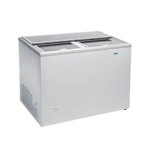 Ψυγείο συντήρησης Back Bar (AGF300 N)